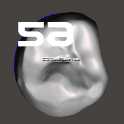 IDDA Adam Nulty F01 Meshmixer女性桥牙库-F01 Anteriores桥牙