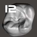 IDDA Adam Nulty F01 Meshmixer女性桥牙库-F01 Anteriores桥牙