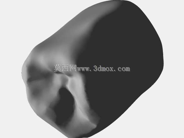IDDA Adam Nulty F01 Meshmixer女性桥牙库-F01 Anteriores桥牙