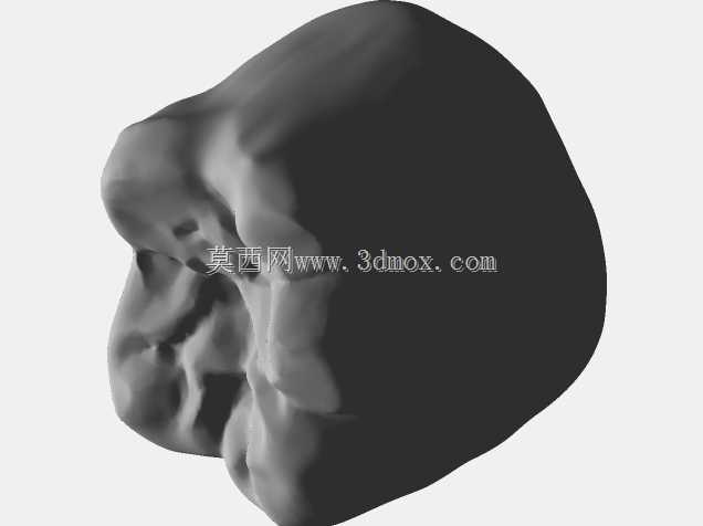 IDDA Adam Nulty F01 Meshmixer女性桥牙库-F01 Anteriores桥牙