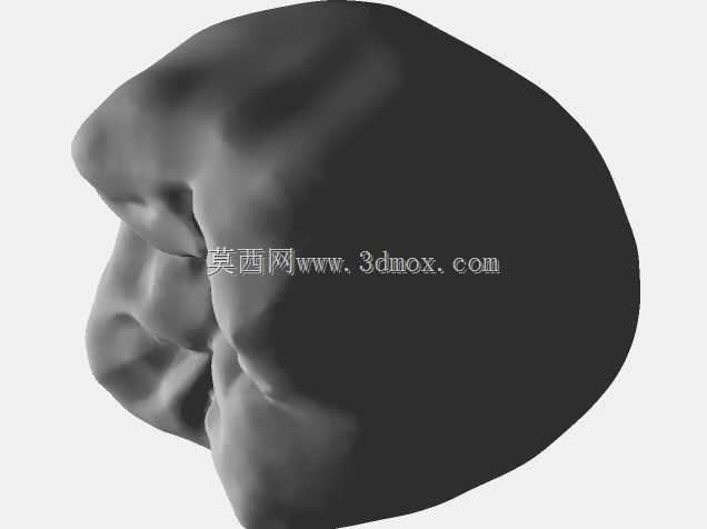 IDDA Adam Nulty F01 Meshmixer女性桥牙库-F01 Anteriores桥牙