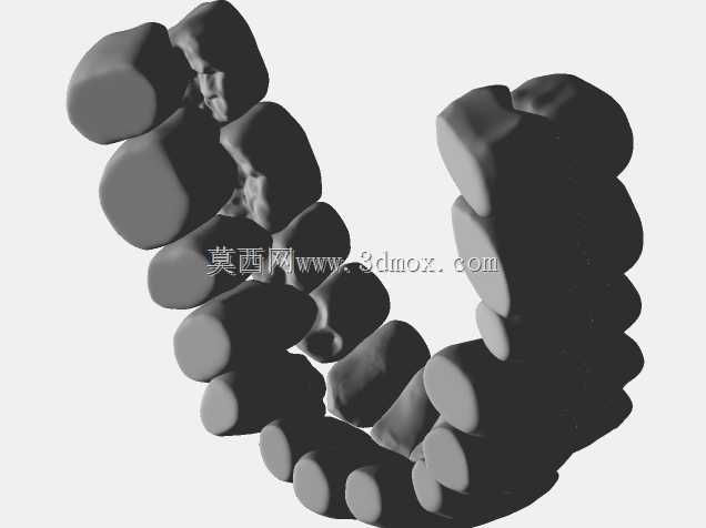 IDDA Adam Nulty F01 Meshmixer女性桥牙库-F01 Anteriores桥牙