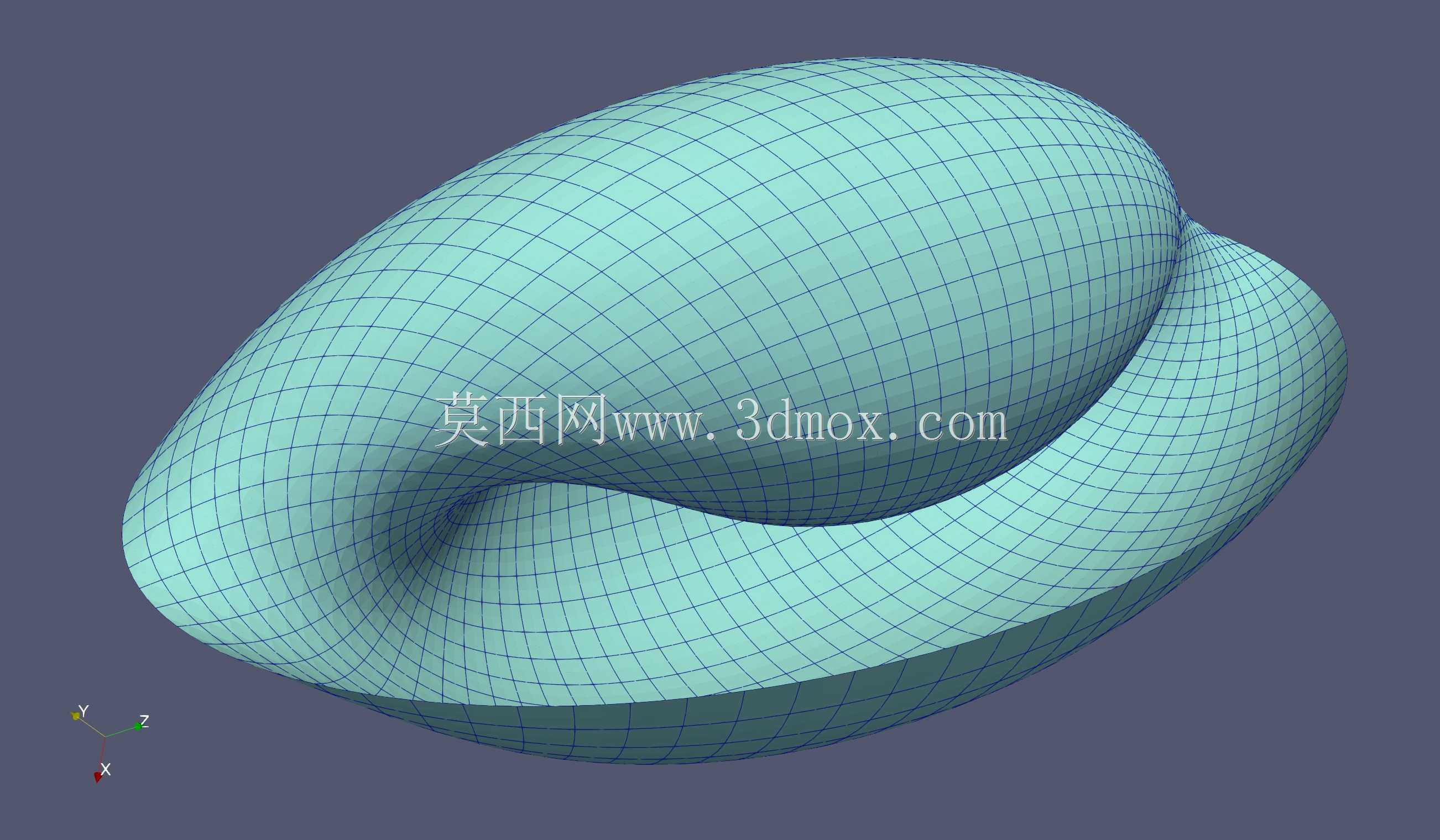 Sea Shell