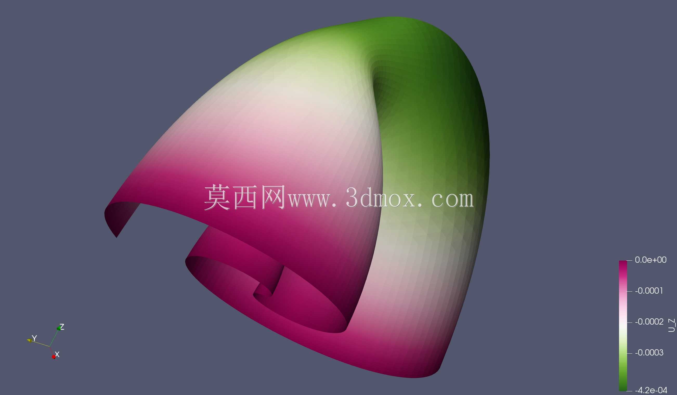 Sea Shell