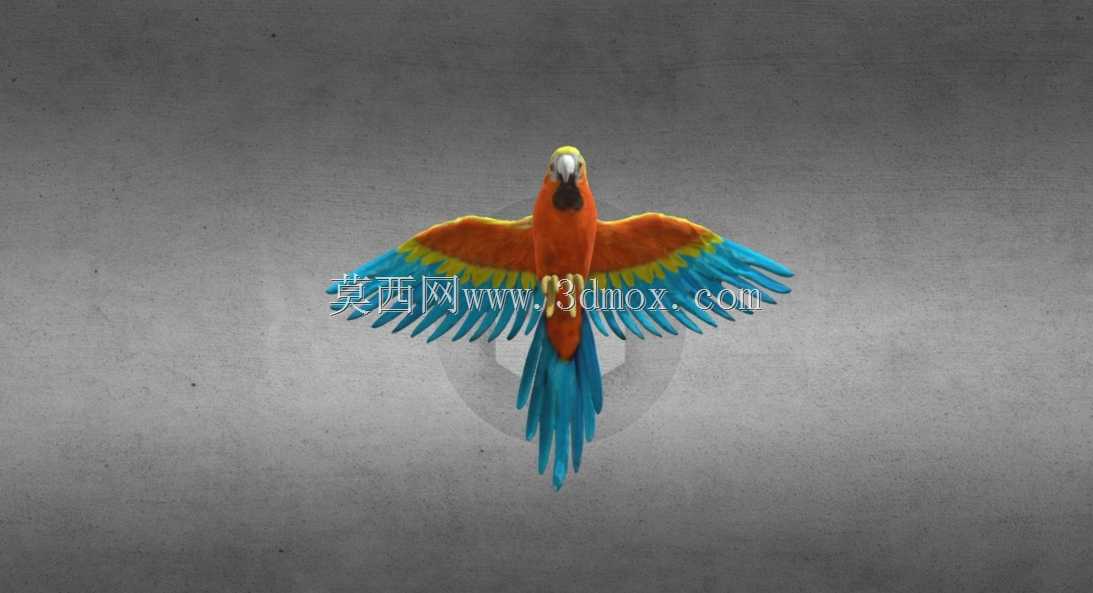 ���ĵ��ܡ���Revopoint MIRACO 3Dɨ���ǵ�3Dɨ��