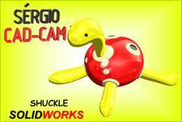 Shuckle ���汦��