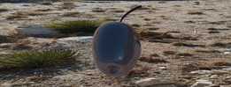 APPLE_1