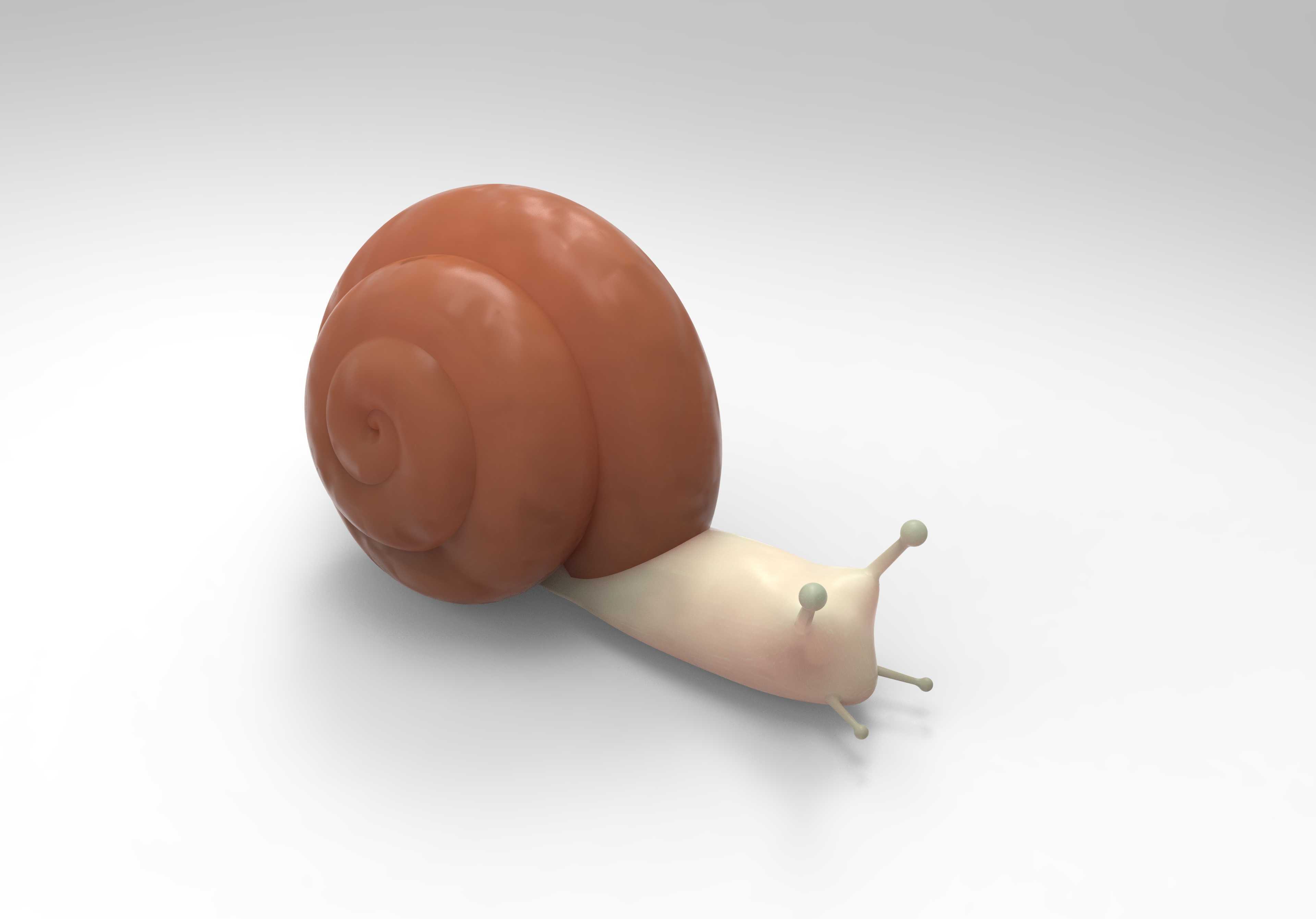 ��ţ