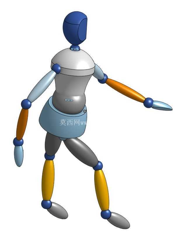 人体模型