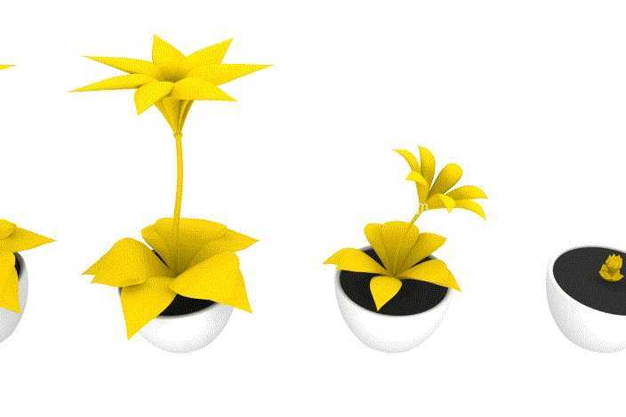 Flor amarilla ??
