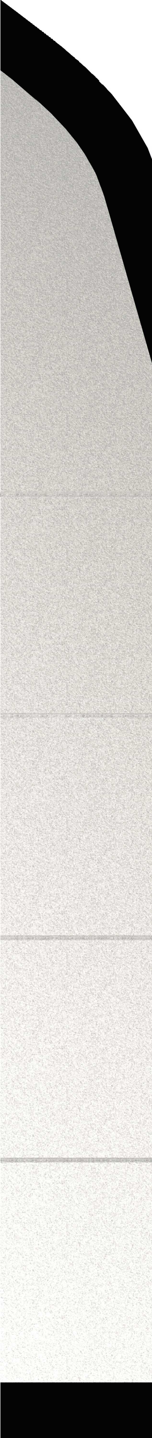 2019 ������