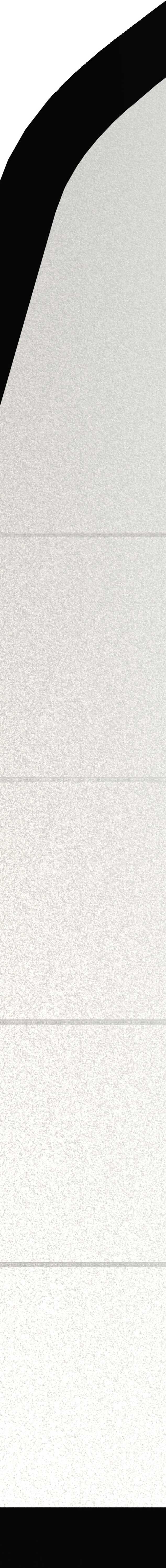 2019 ������