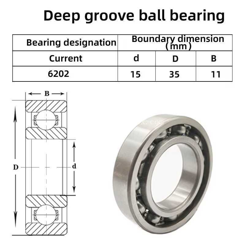 6202