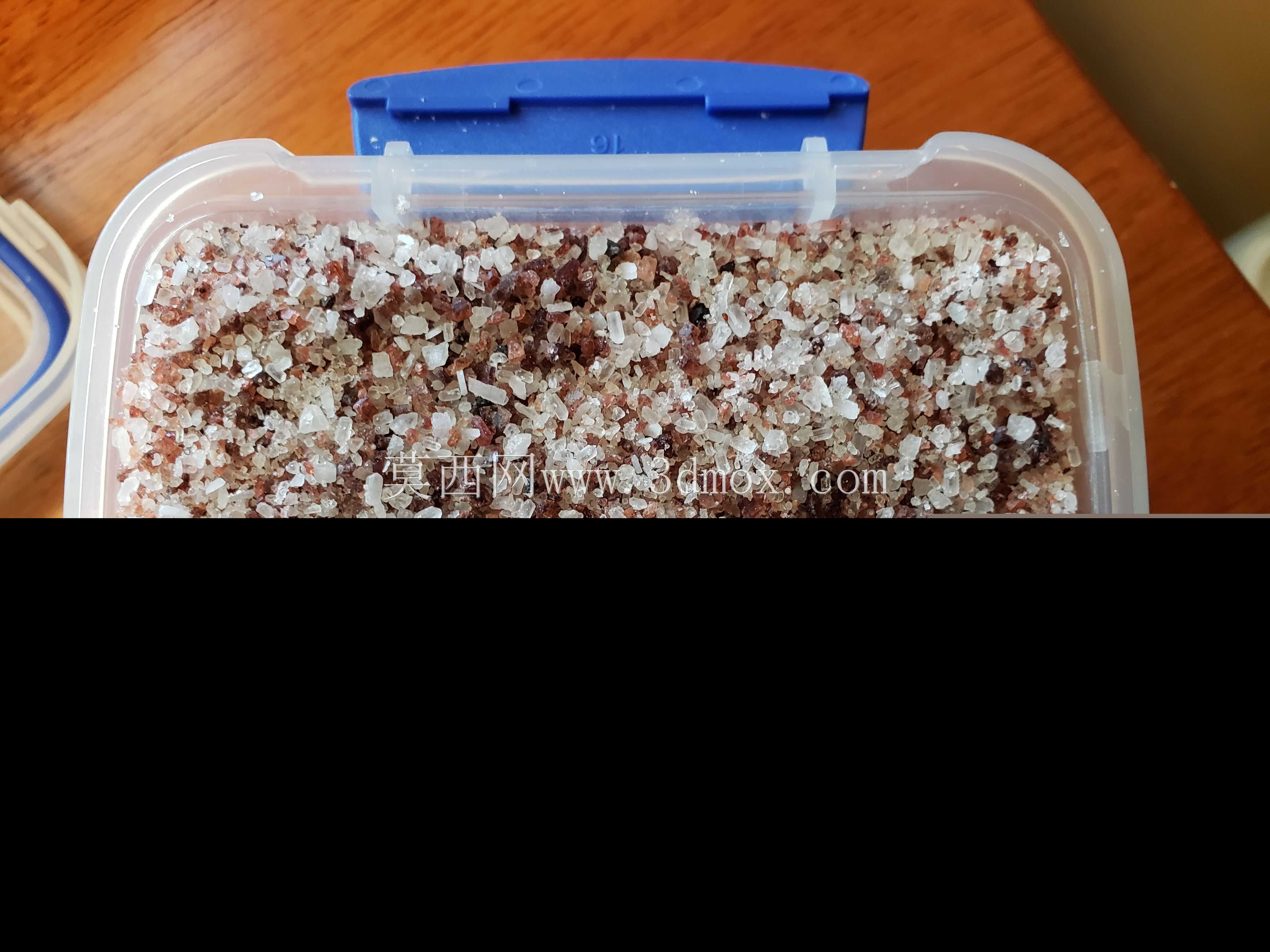 Bug-A-saltǰ�հ�