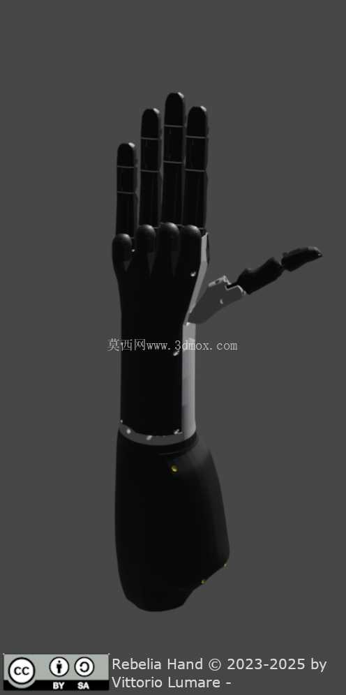 Rebelia Hand
