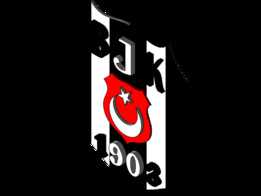 BJK 3D��־