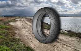 MRF��̥
