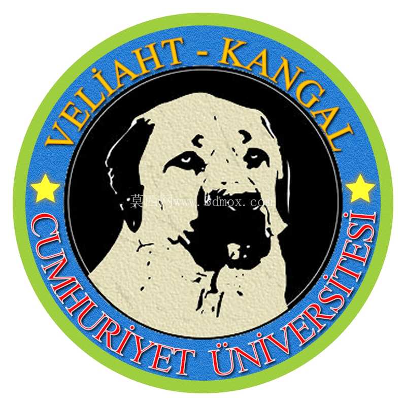 Kangal V1 TT �ڶ���