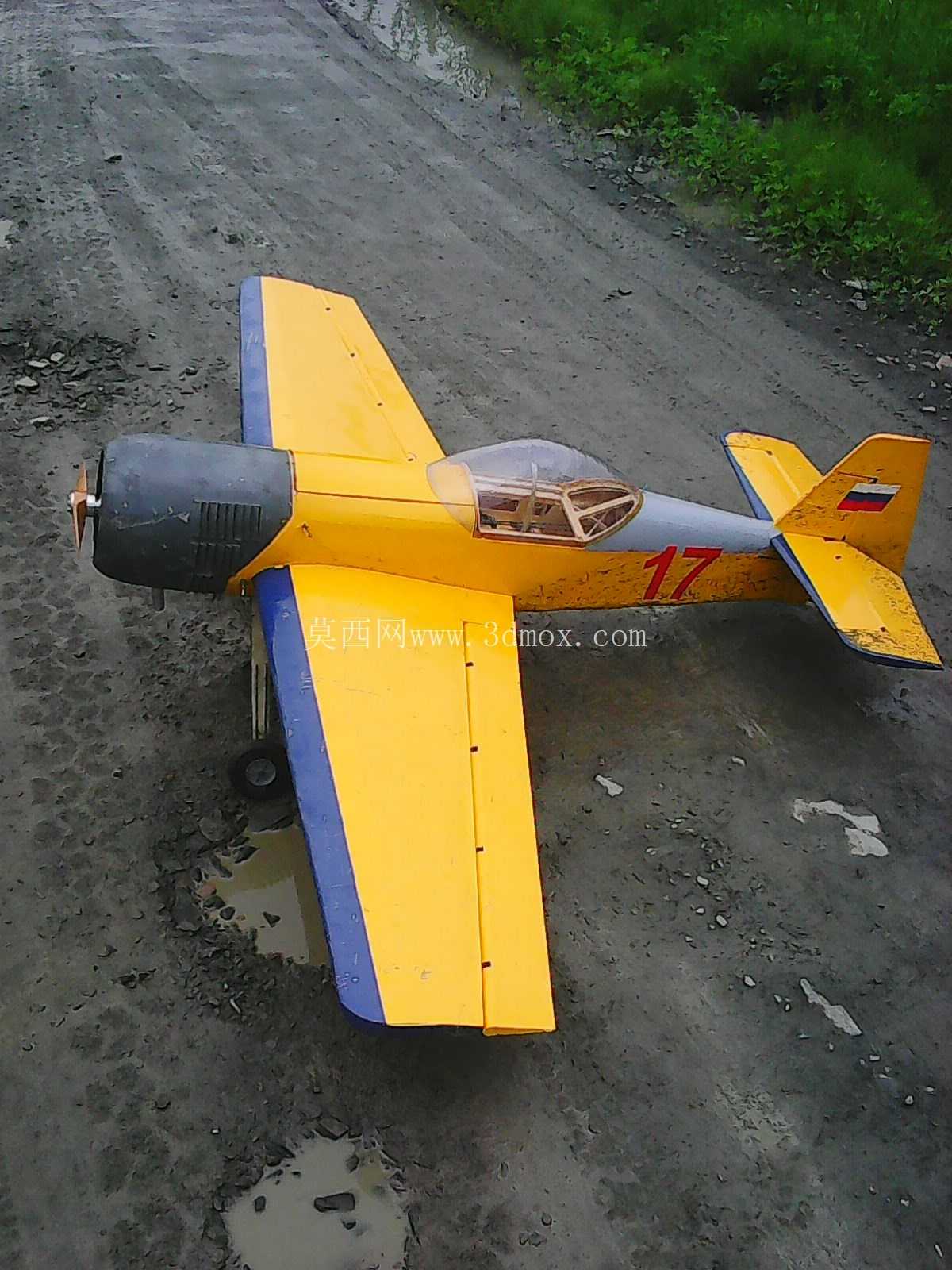 SU-31