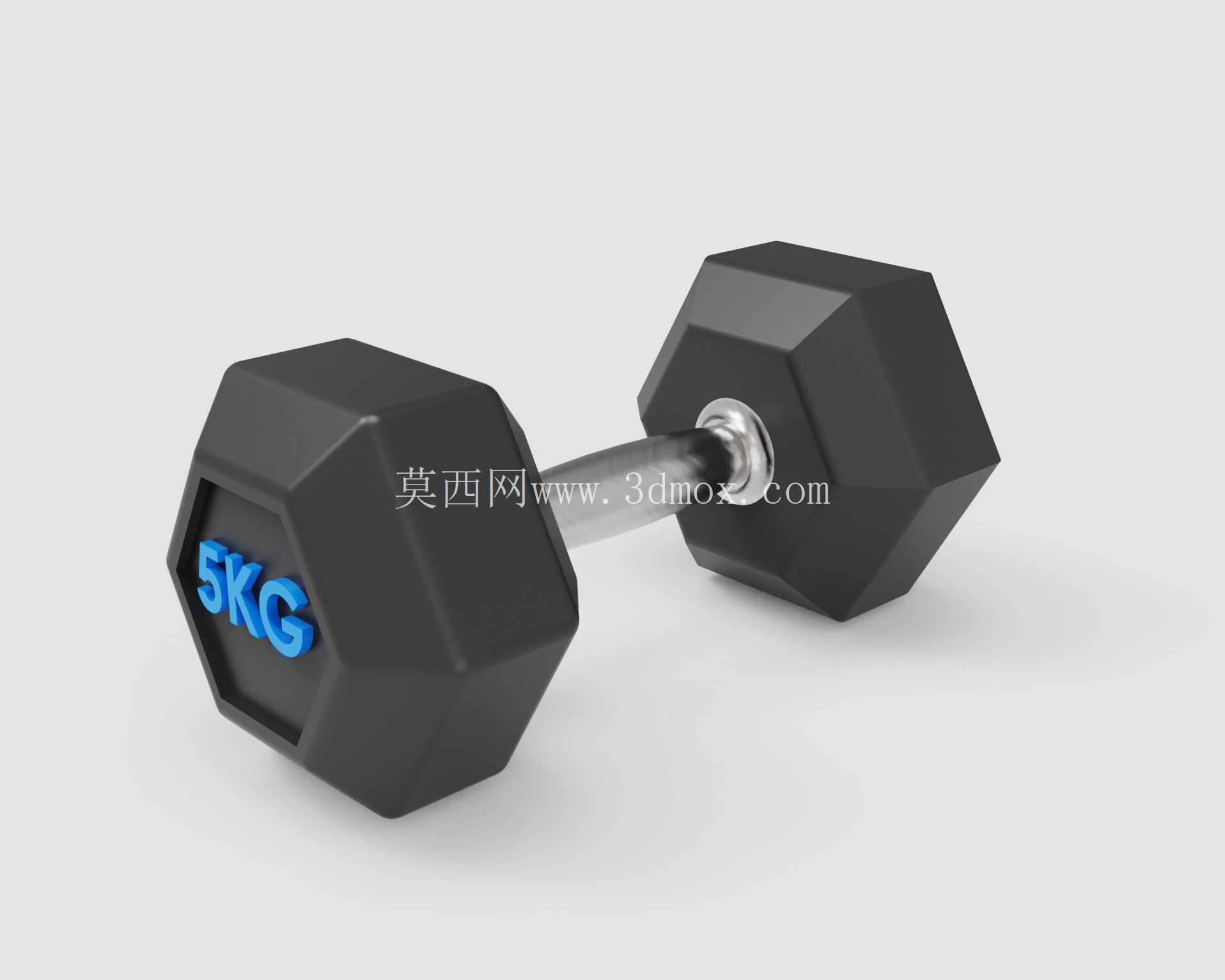 健身房举重器材 | SolidWorks 3D 模型 | 健身房哑铃