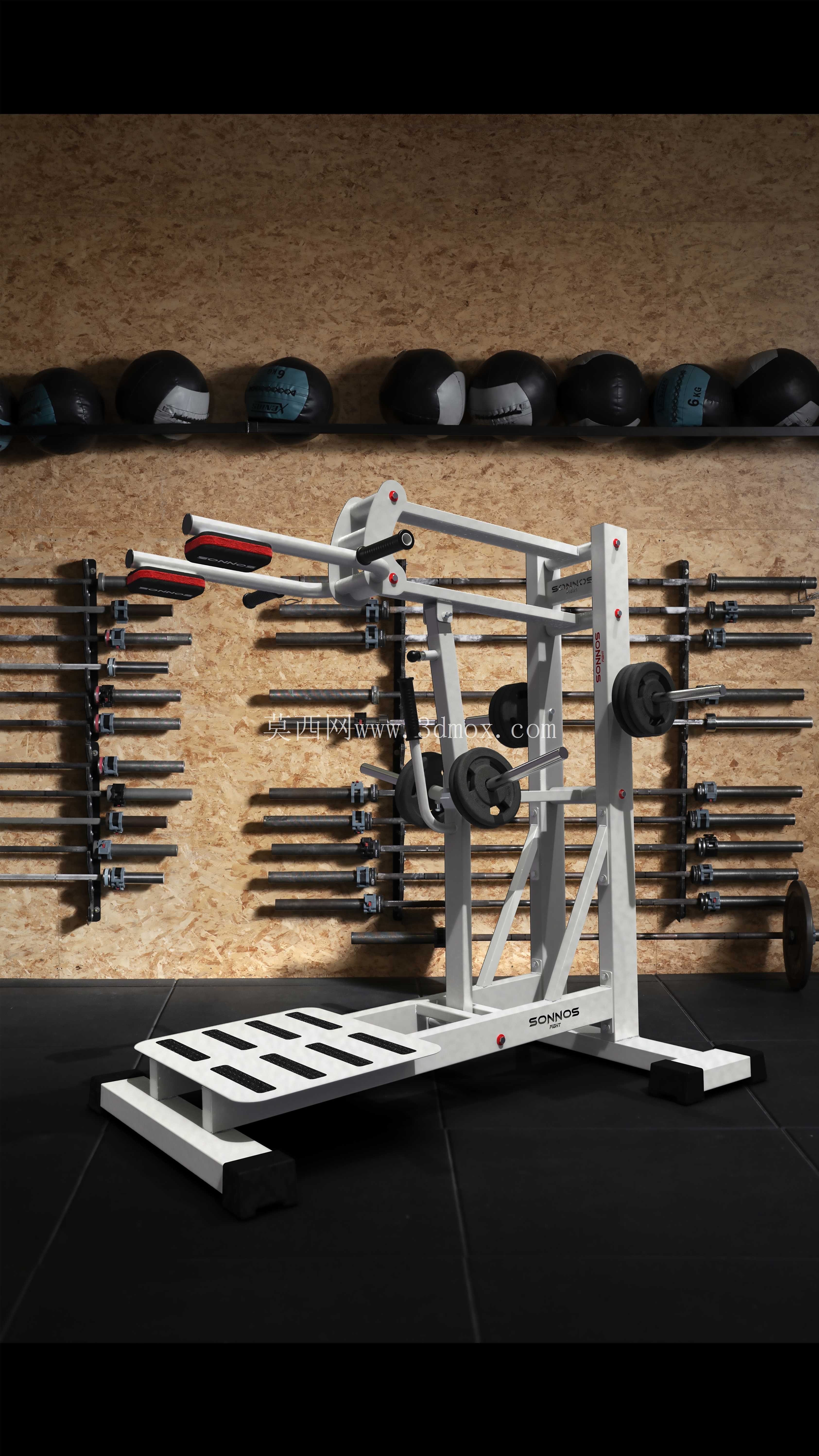M��quina Gimnasio - Sentadilla Gemelo