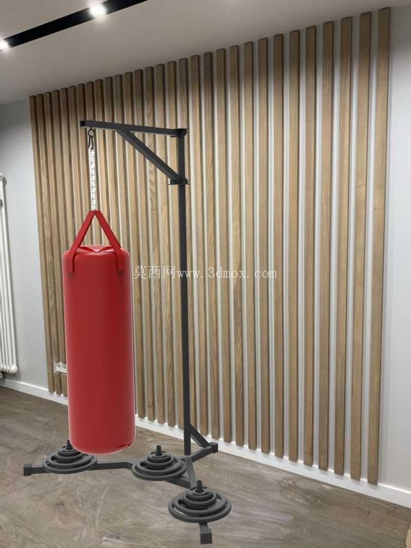 支持 SACO BOXE 托雷