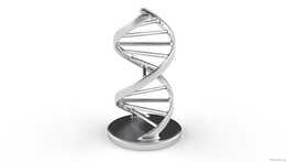 ����DNA-V1