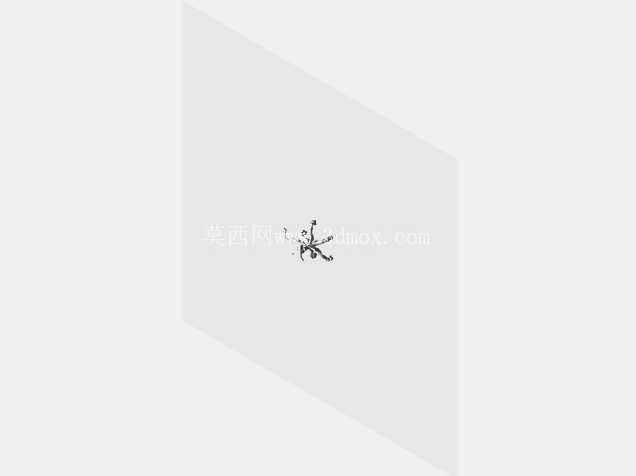 �칫���� ��ά��������