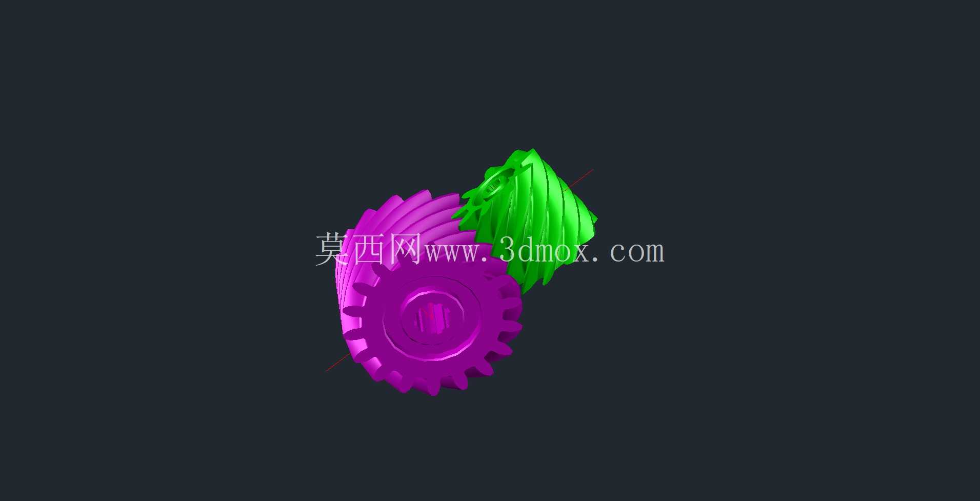 螺杆齿轮联轴器模型