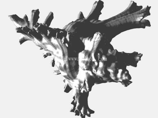 ����-3Dɨ�裬ʹ��Revopoint MIRACO 3Dɨ����