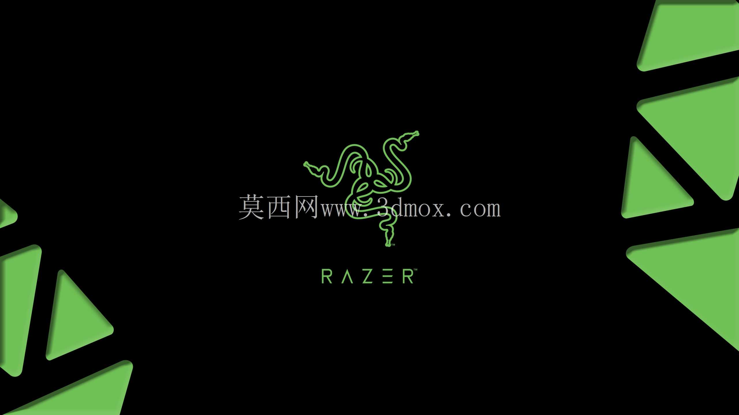 雷蛇标志设计| 产品展示