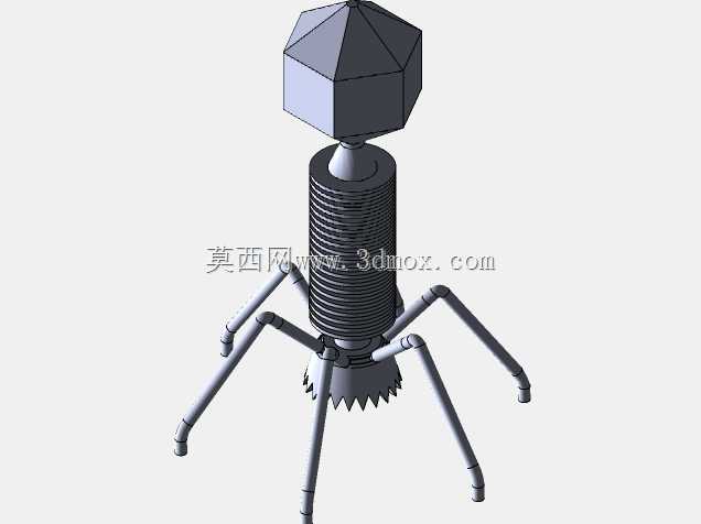 噬菌体