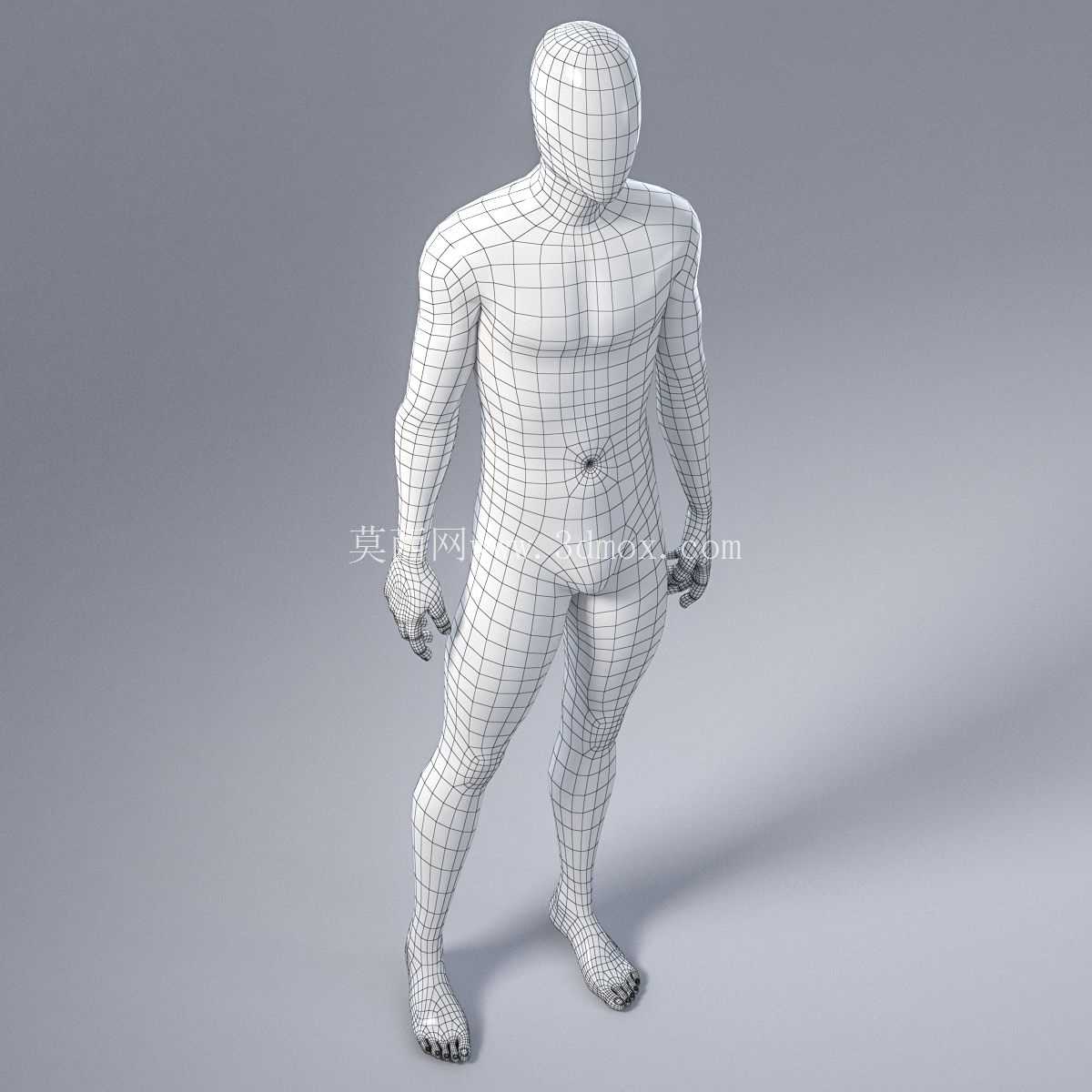 ����ģ��3D