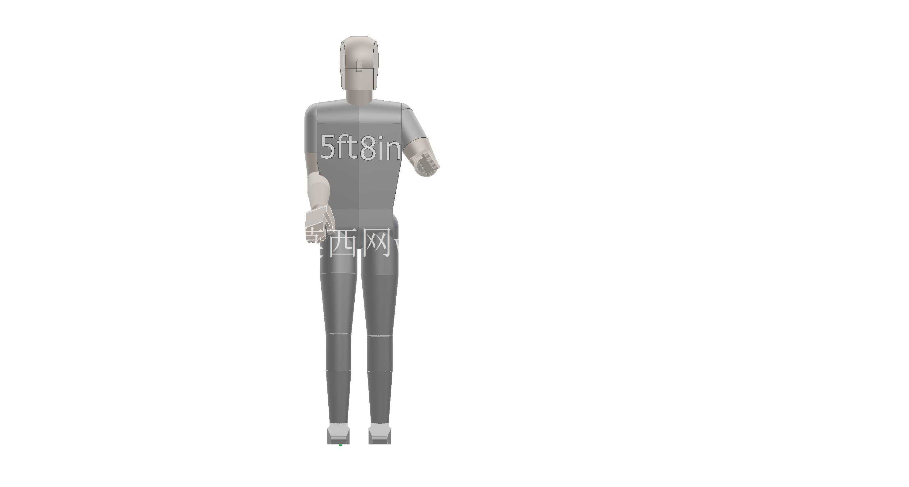 ����Ա-5ft8in