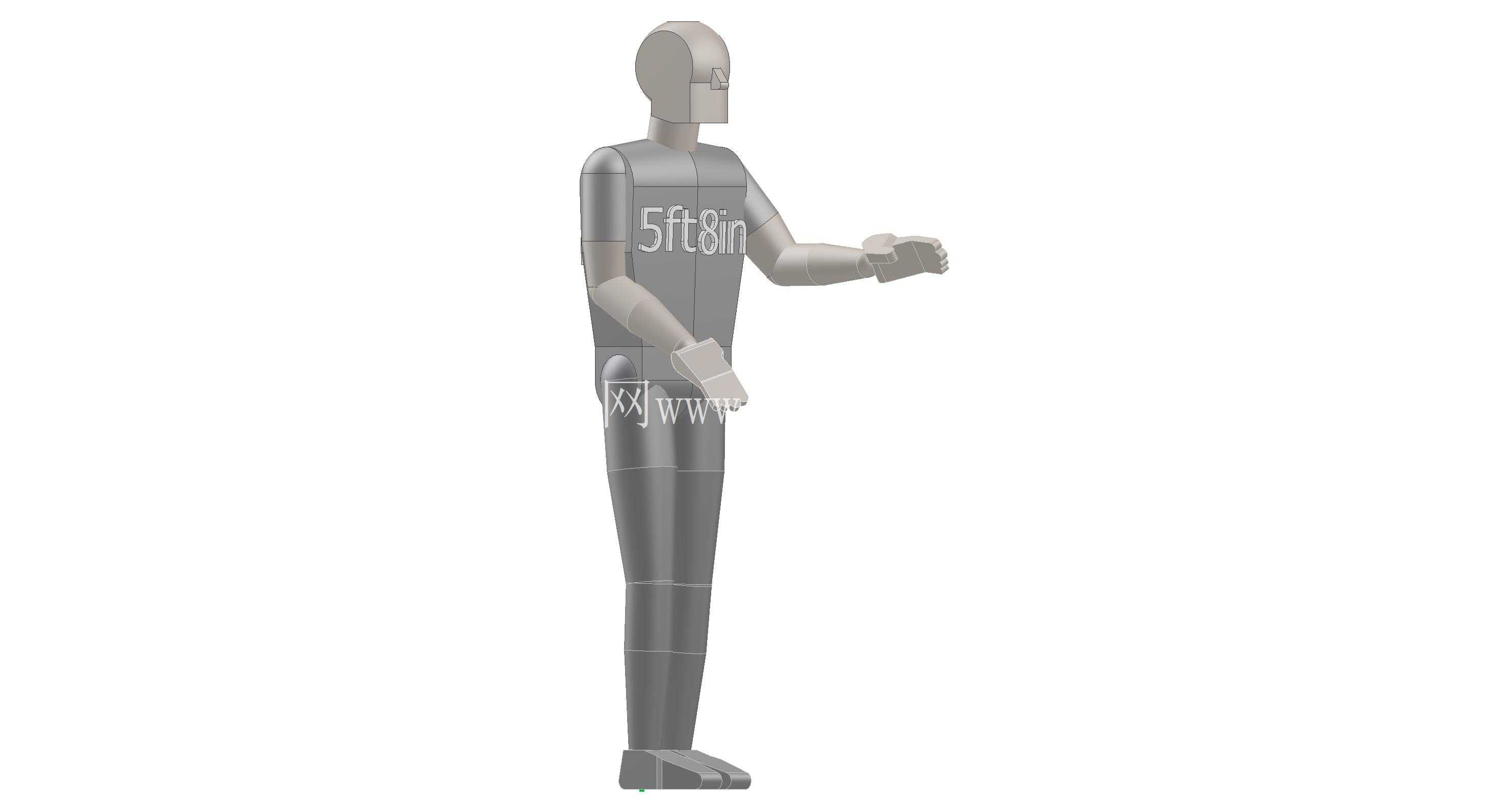 ����Ա-5ft8in