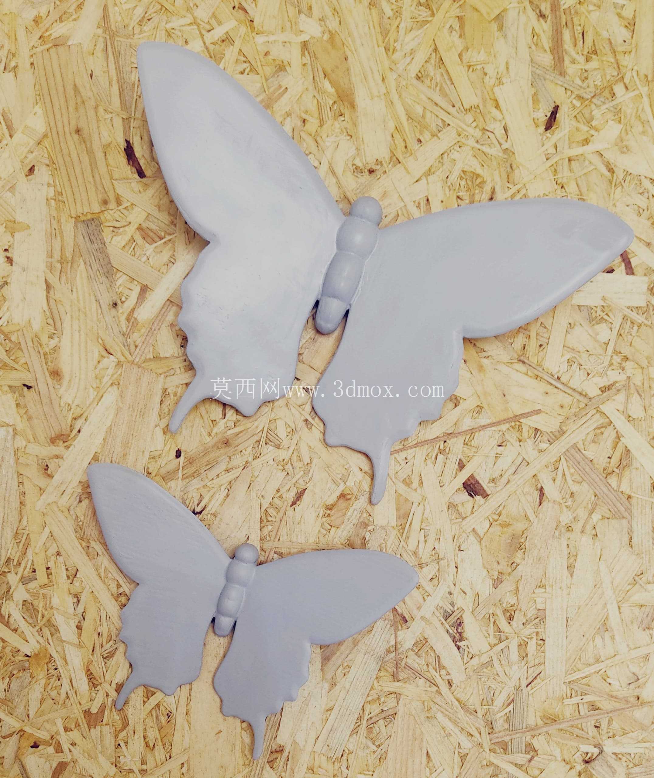蝴蝶_3D
