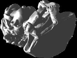 ��ʹ3Dɨ��