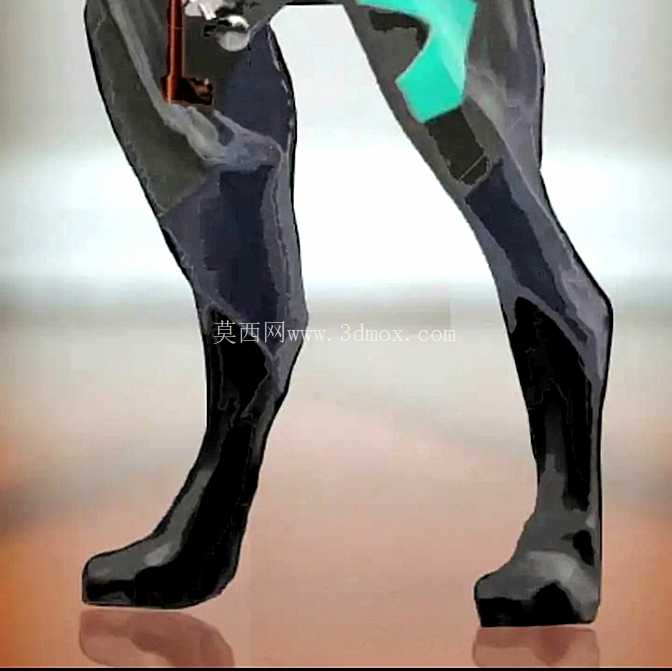 ������Ҷ����װ��Ʒ