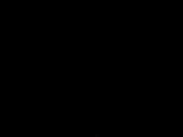 �糵����