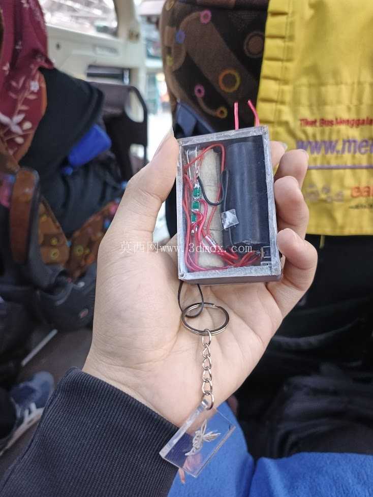 闪电黄蜂
