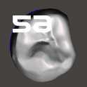 IDDA Adam Nulty 牙齿库男性 01 用于 Meshmixer