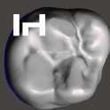 IDDA Adam Nulty 牙齿库男性 01 用于 Meshmixer