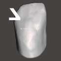 IDDA Adam Nulty 牙齿库男性 01 用于 Meshmixer