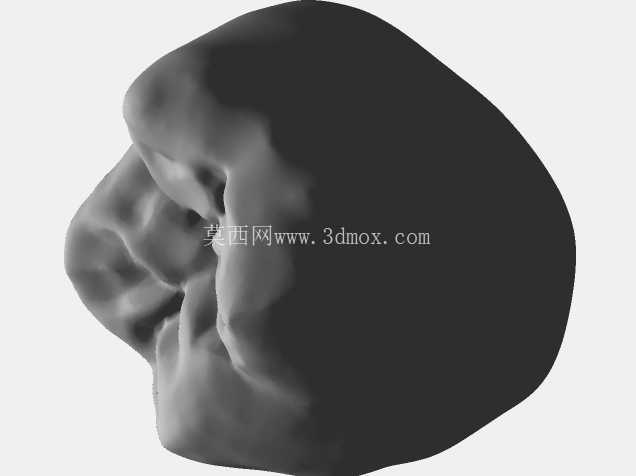 IDDA Adam Nulty 牙齿库男性 01 用于 Meshmixer
