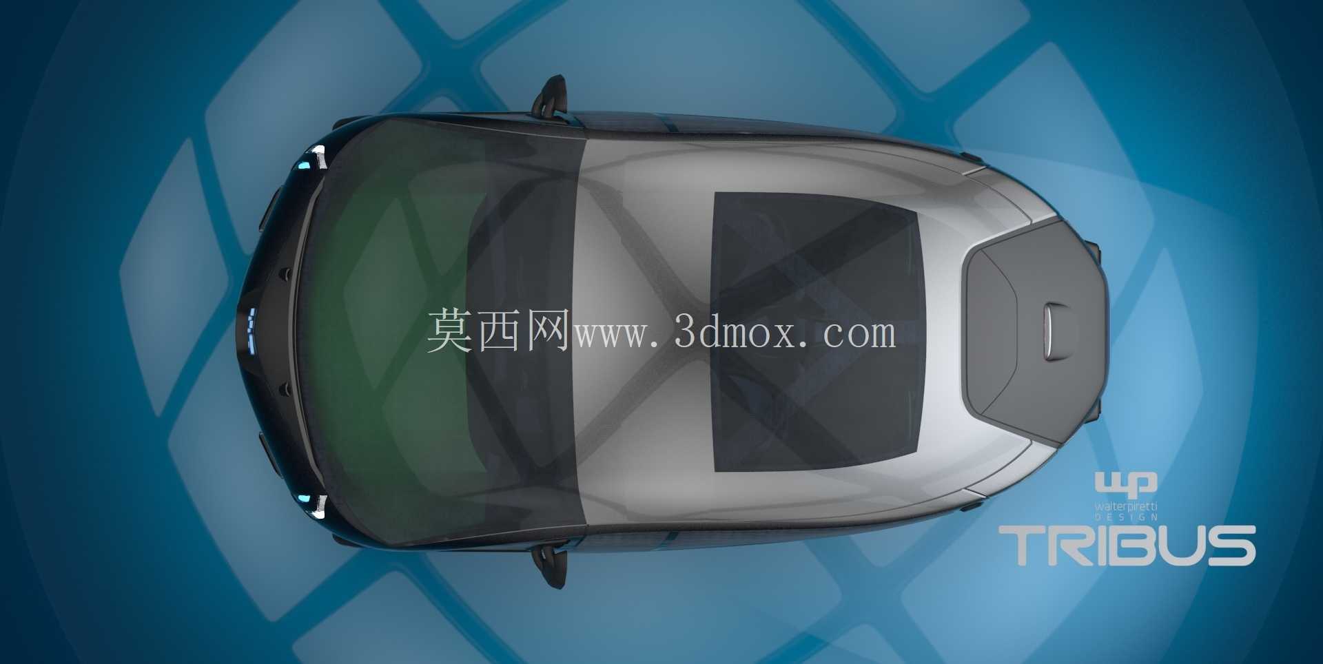 TRIBUS�綯���ֳ�