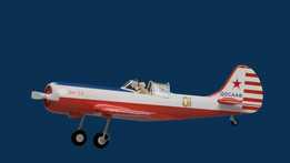 Yak-50�������зɻ�