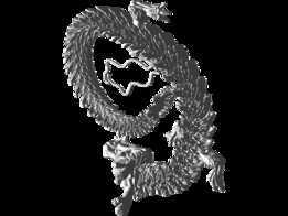 3D��ӡ�½�ʽ�й���