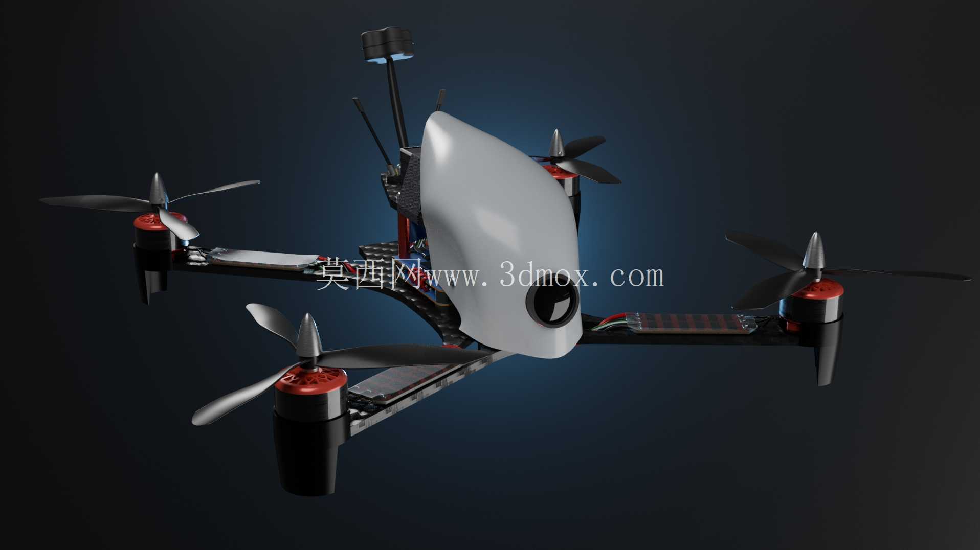 FPV ���˻� (24cm x 24cm)
