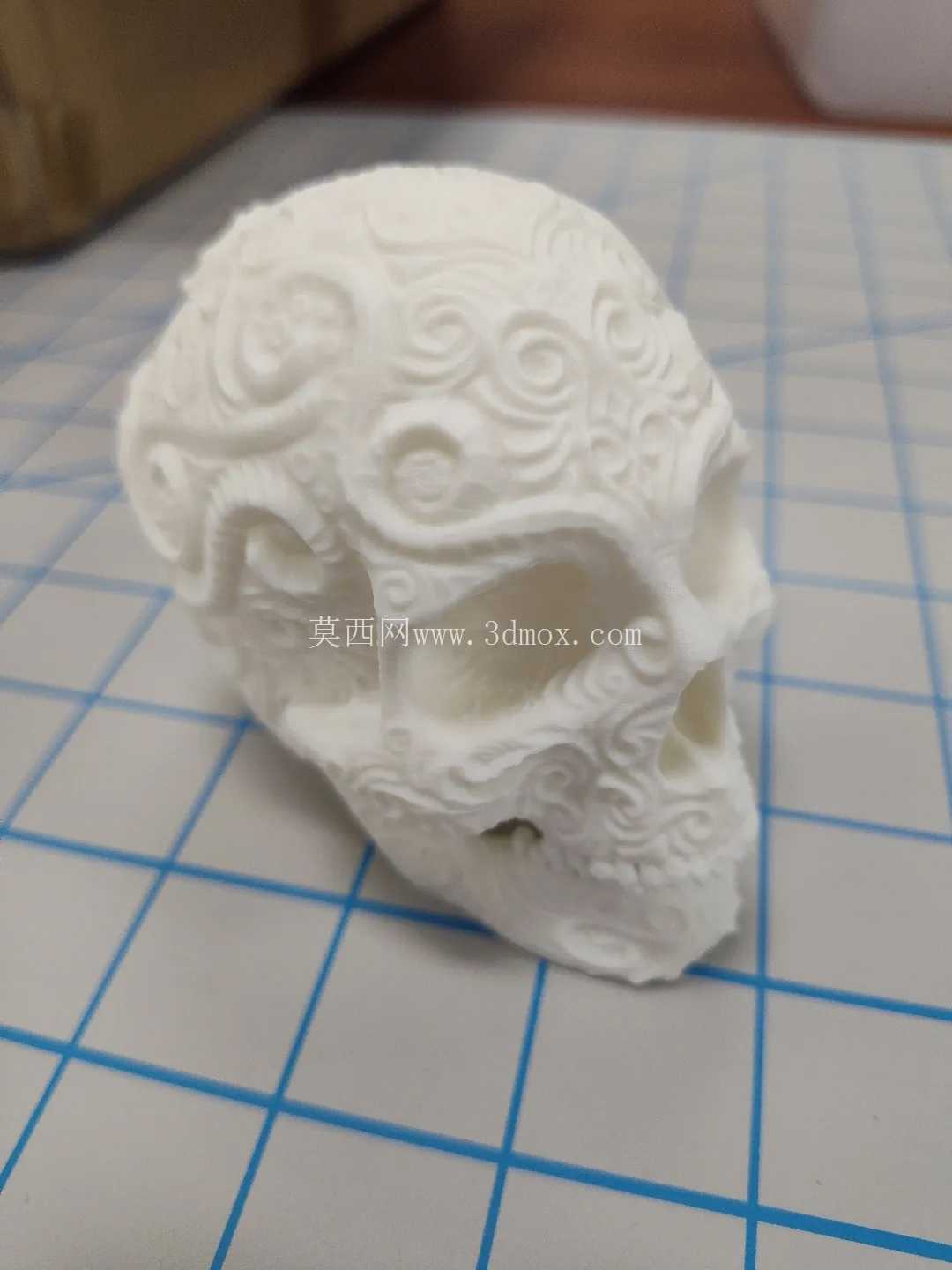 Caelum Ornate:复杂的巴洛克漩涡\u0026 花丝头骨雕塑