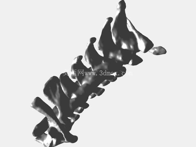 ��׵��c1 �� c7��